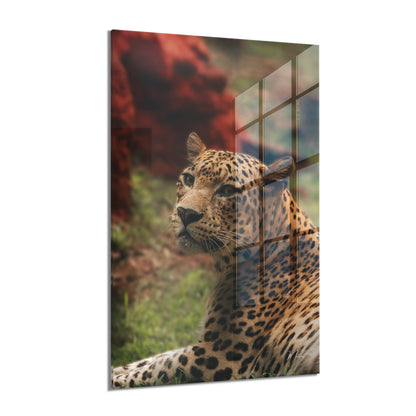 Elegant Leopard