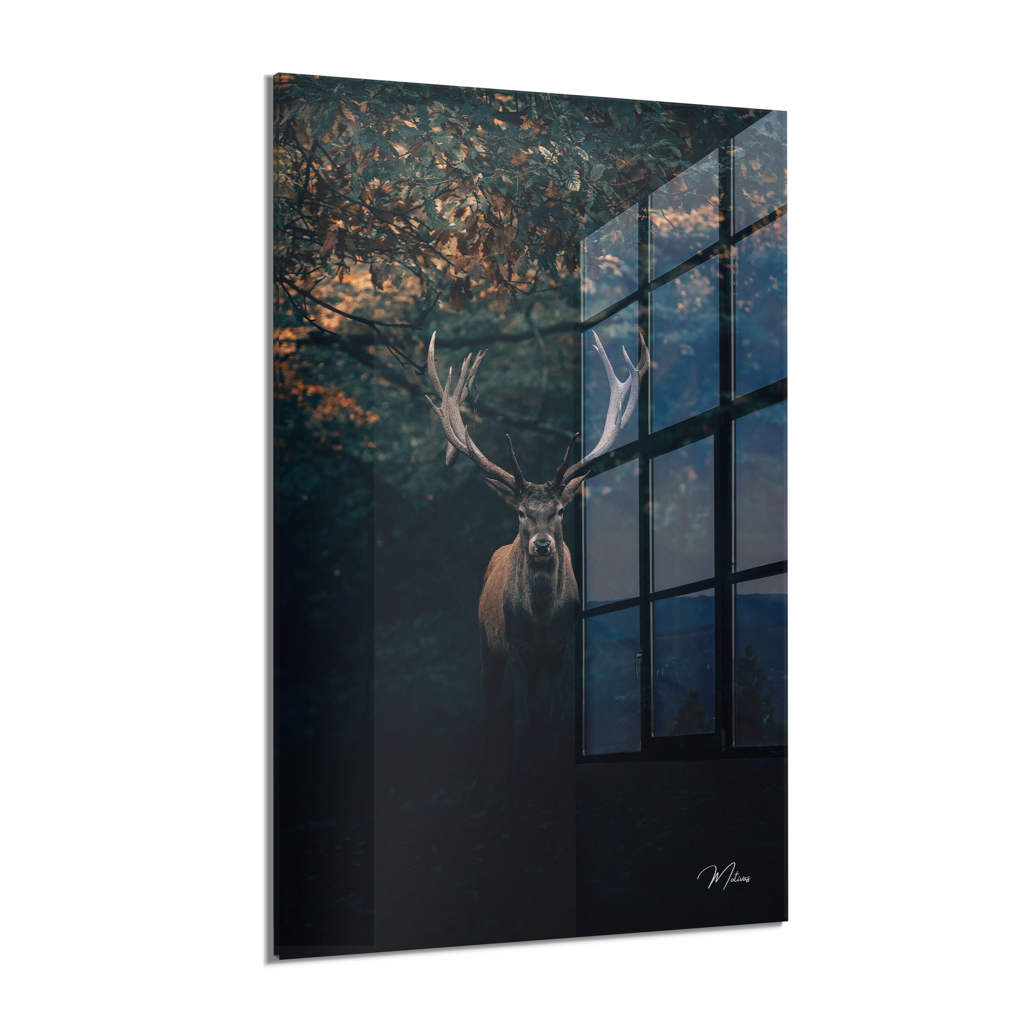 Antler Elegance