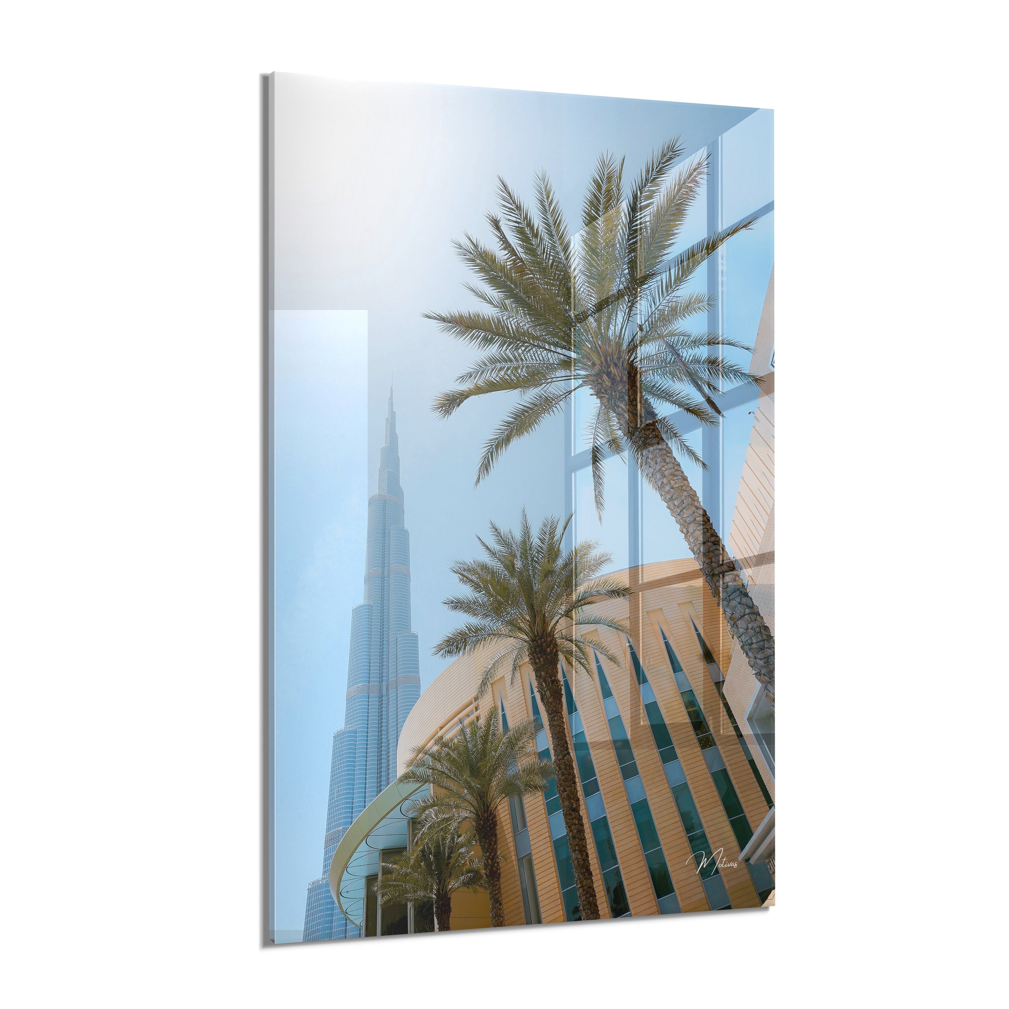 Palms in Dubai