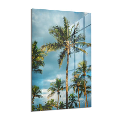 Palms and Blue Sky
