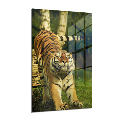 Jungle Awakening