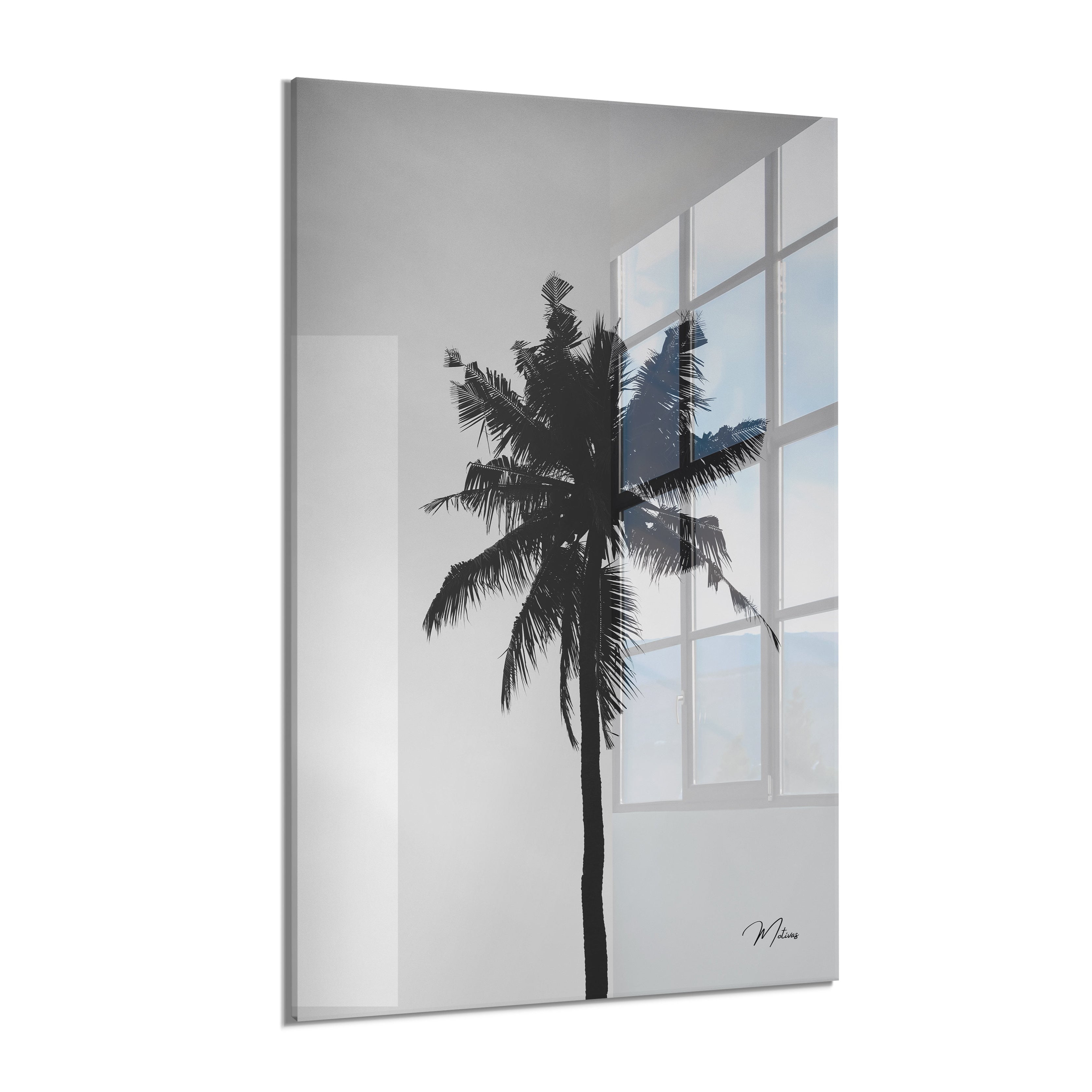 Black and White Palm
