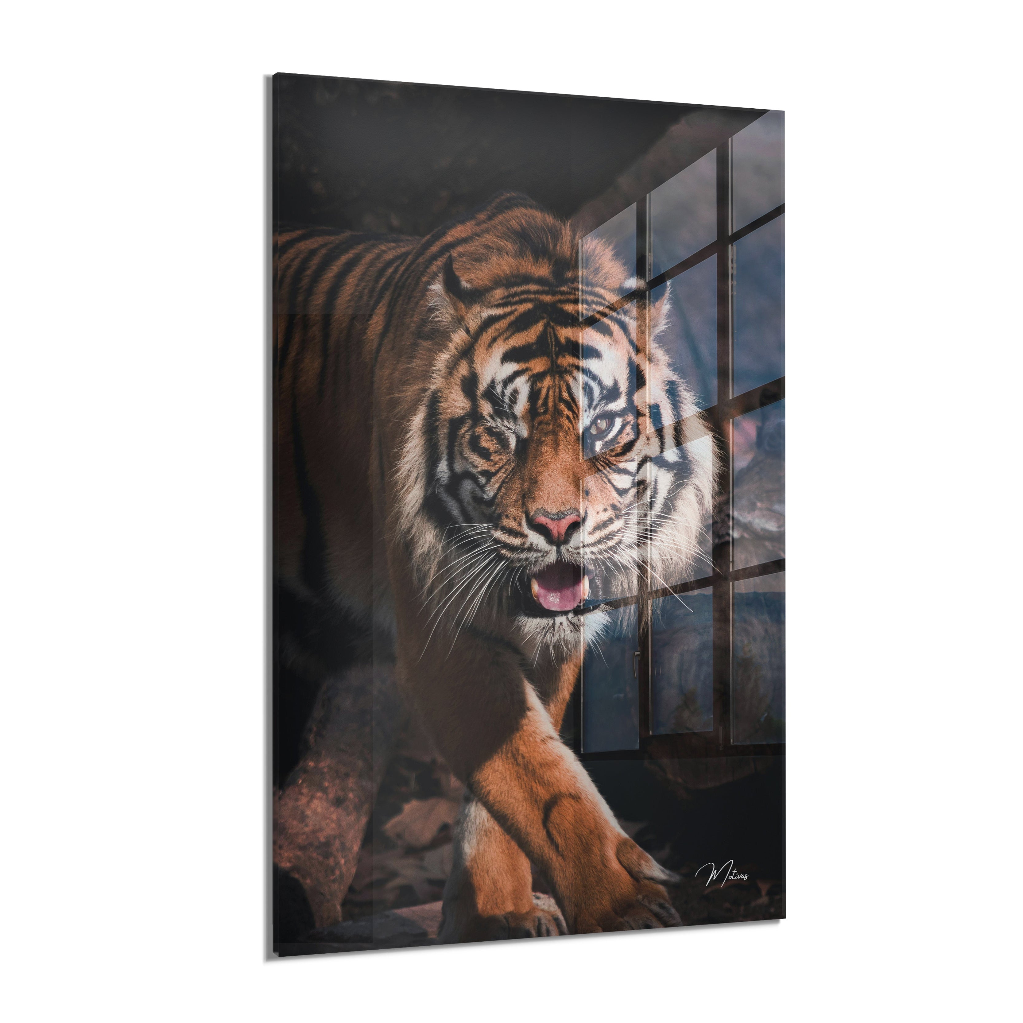 Hunting Tiger