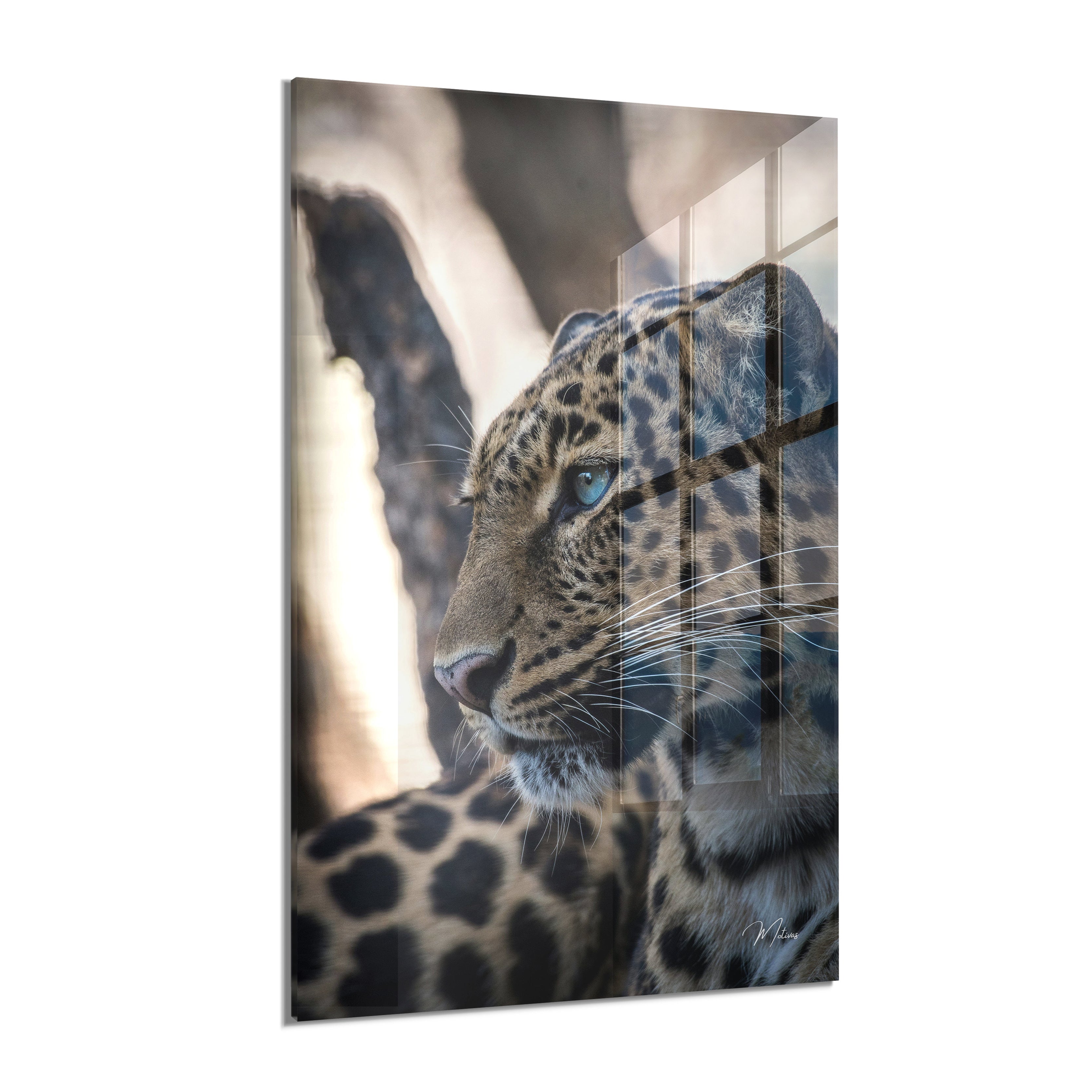 Eye of the Savannah