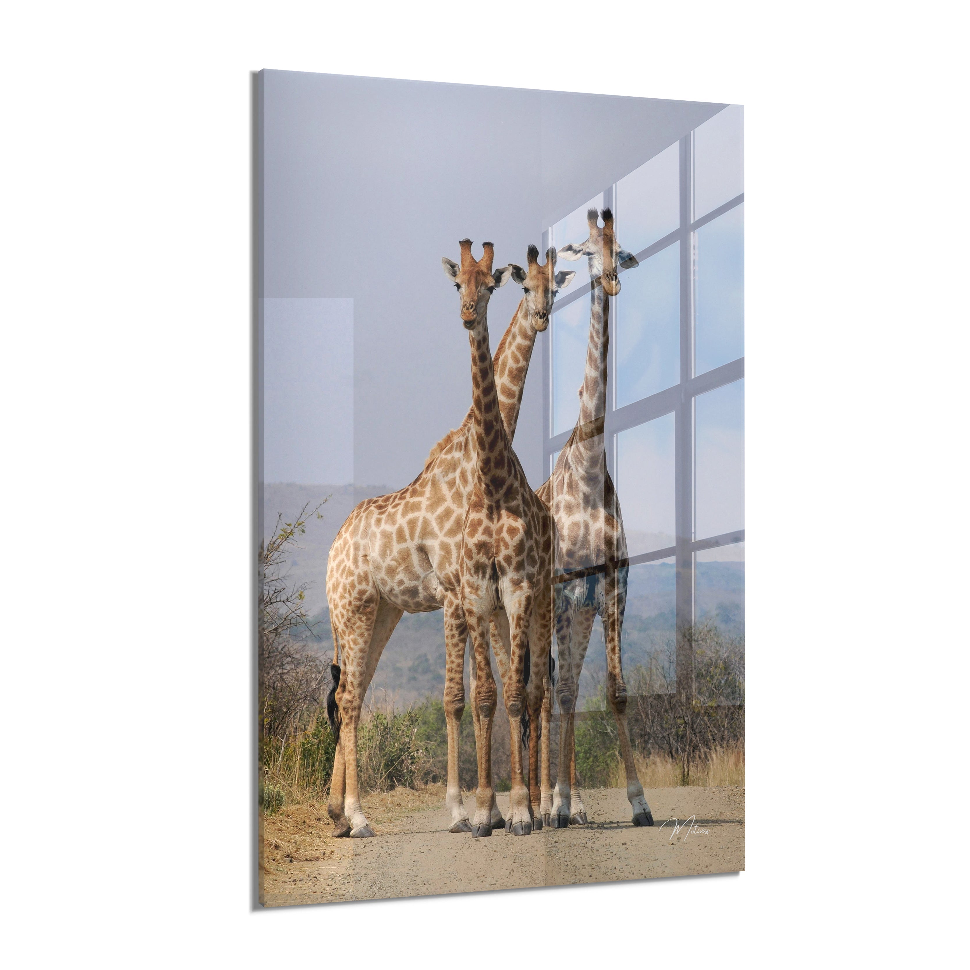 Heigh Above the Savannah
