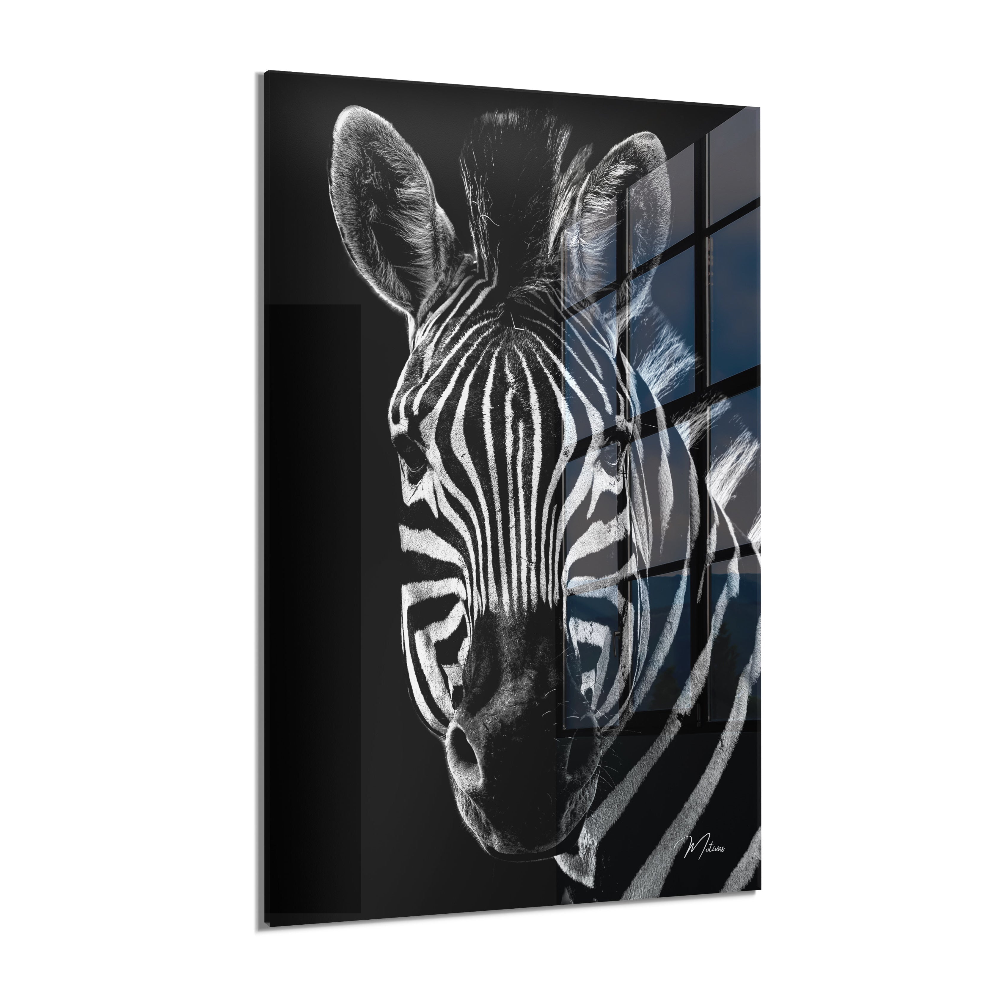Zebra Zen