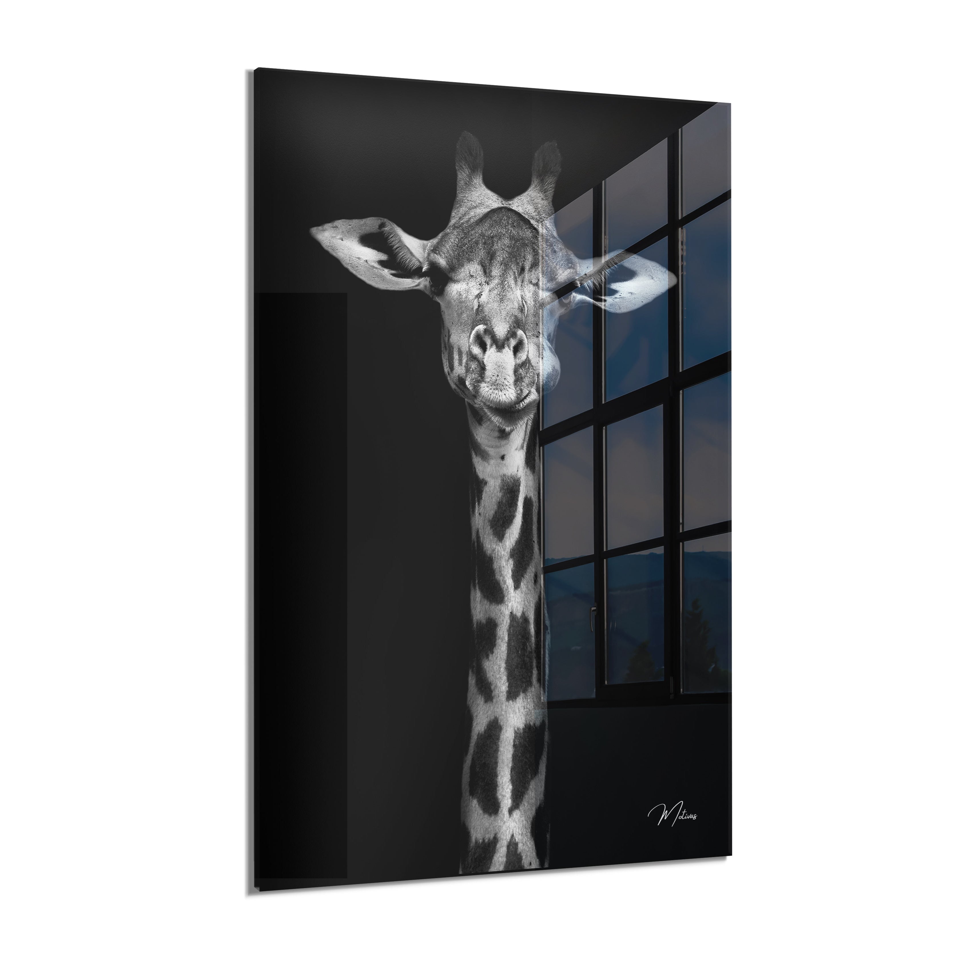 Giraffe Smile