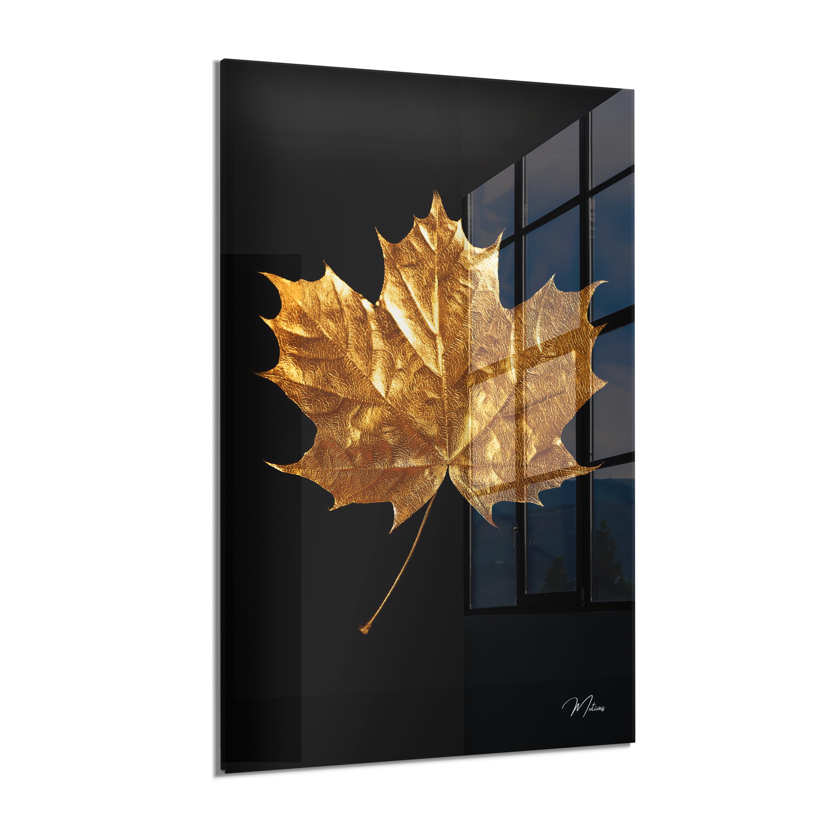 Golden Autumn Leaf