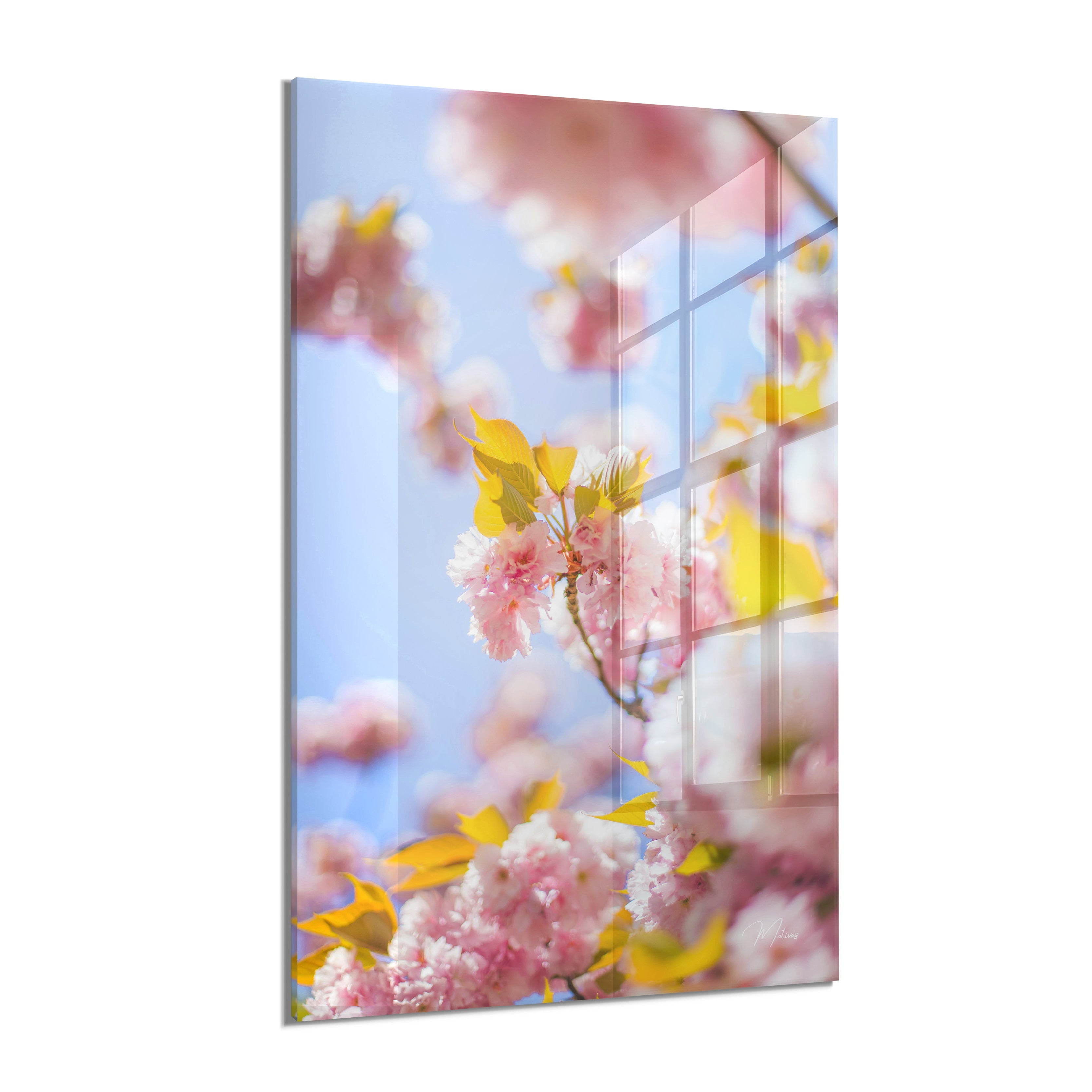 Spring Harmony