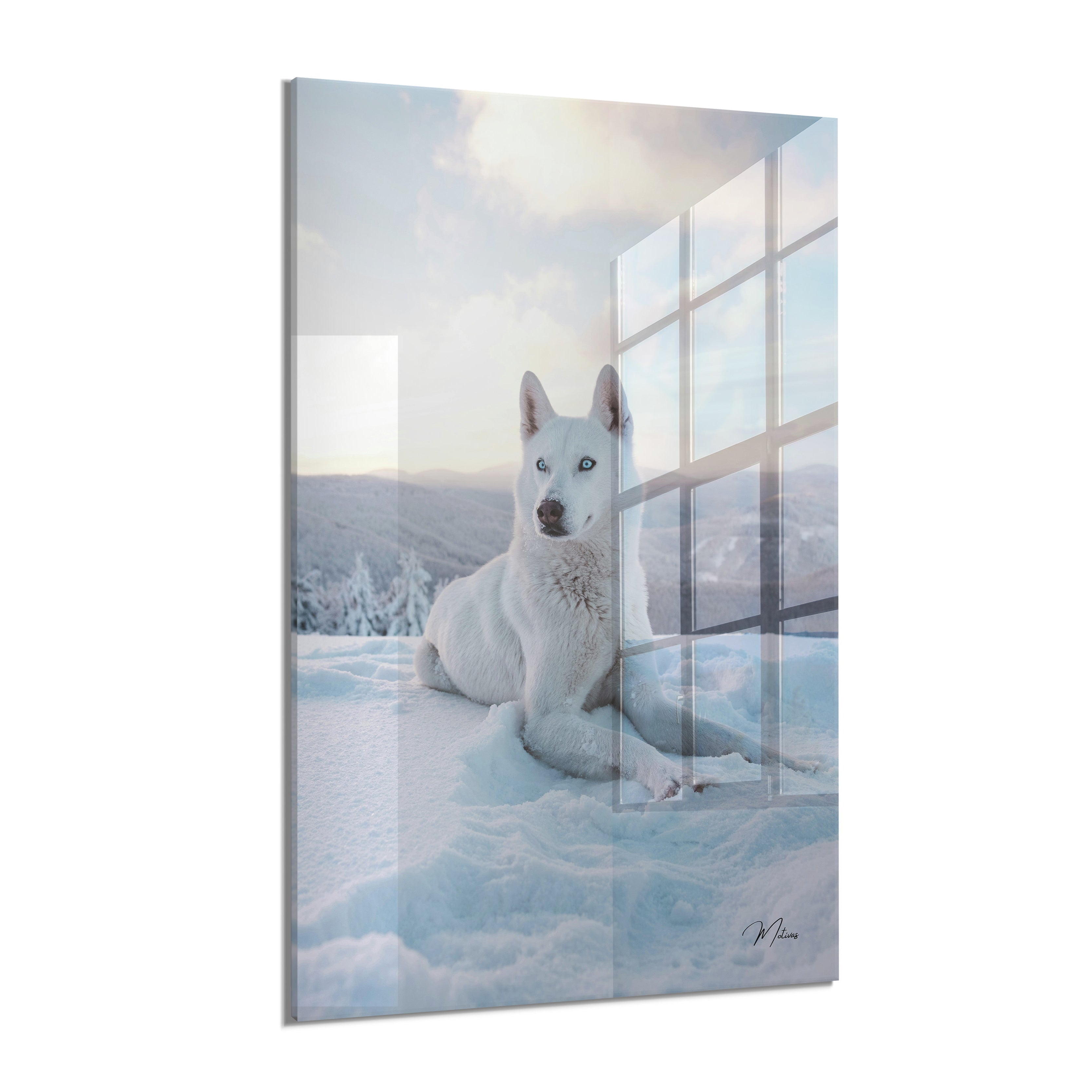 Snow King