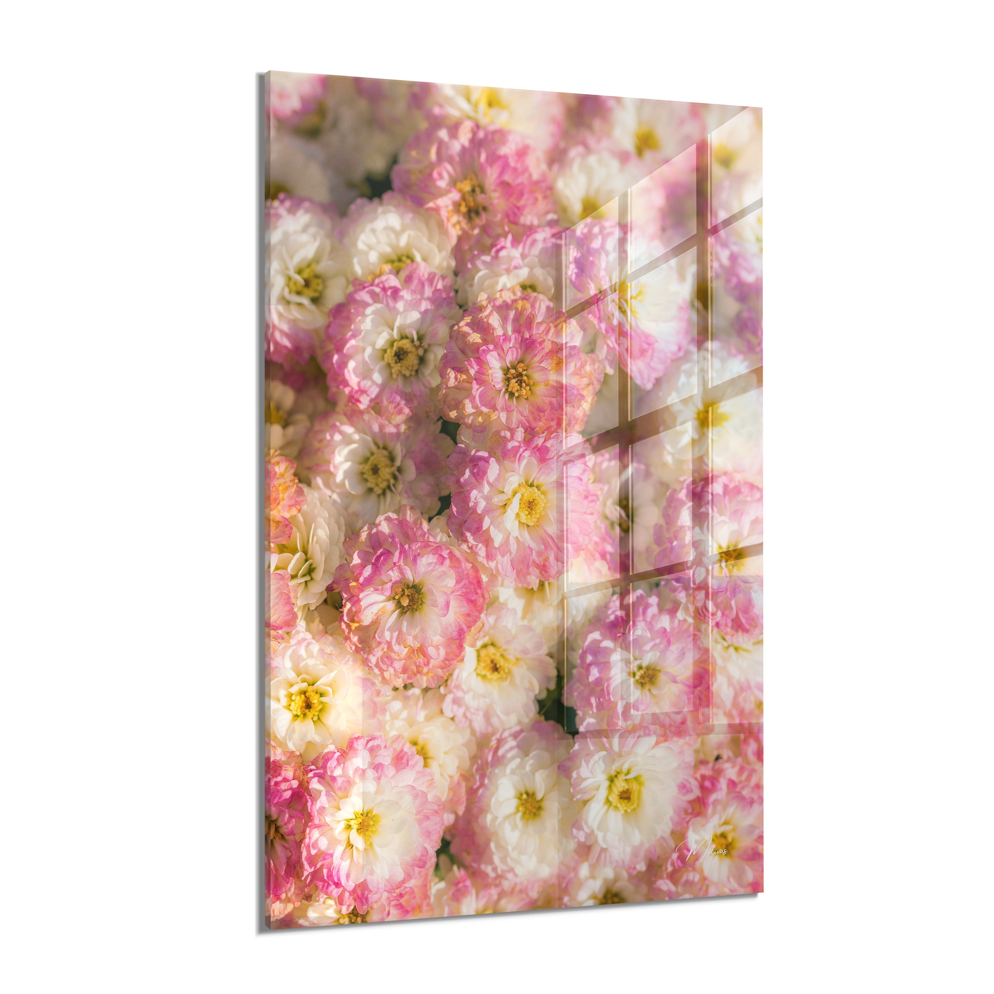 Cheerful Flowers