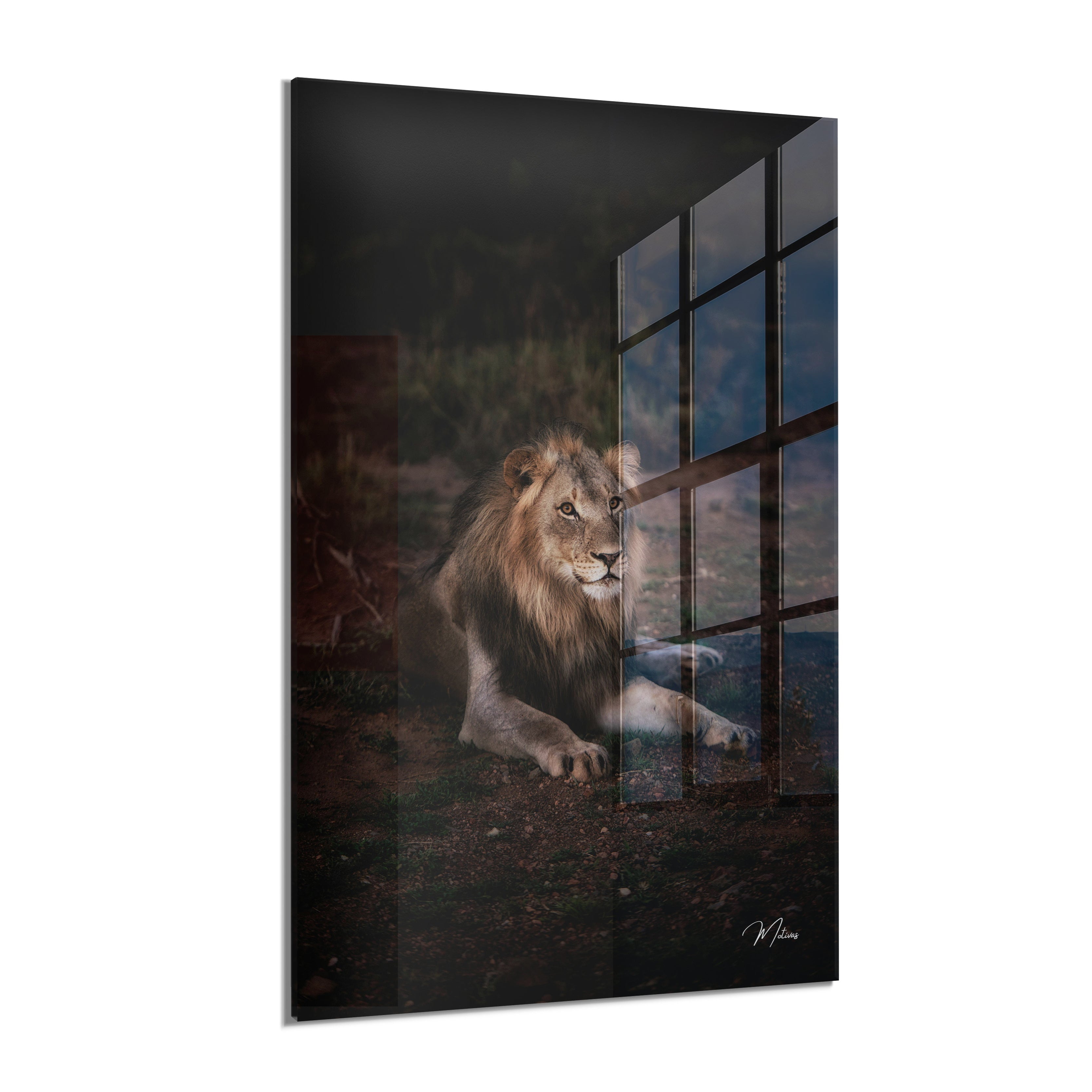 Majestic King