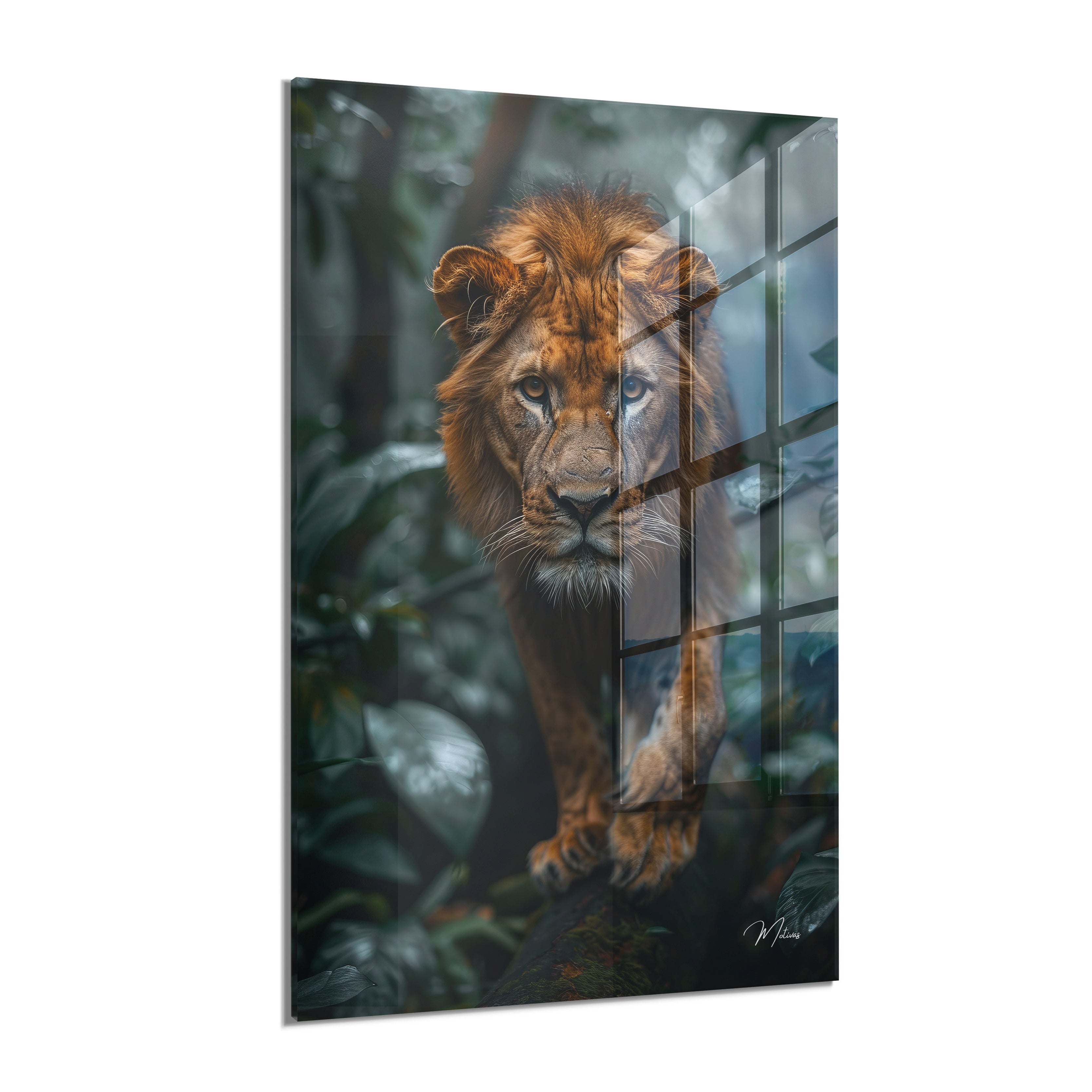 Jungle Majesty