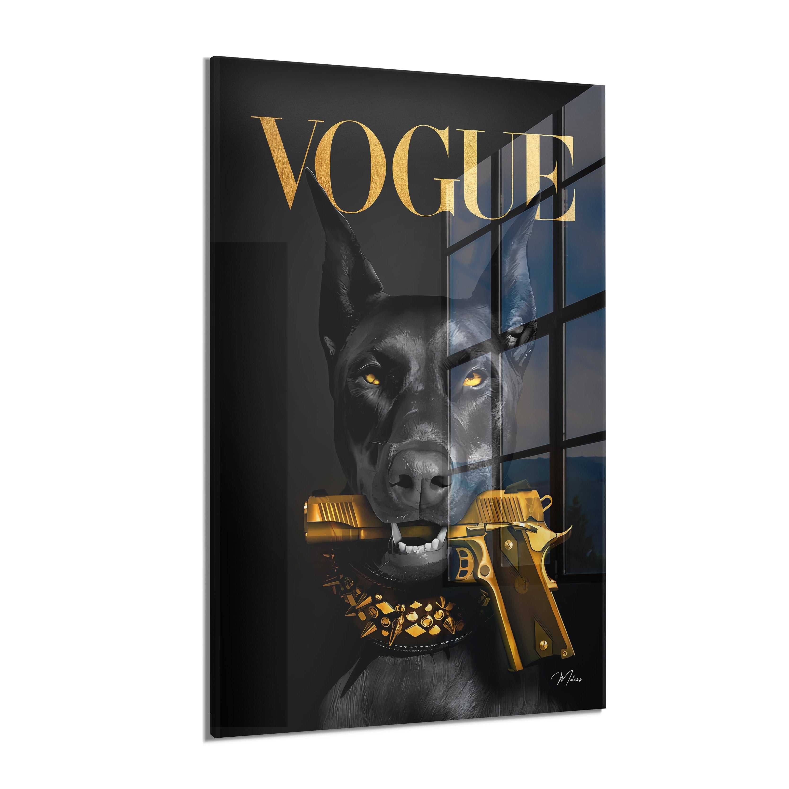 Fashion Dog