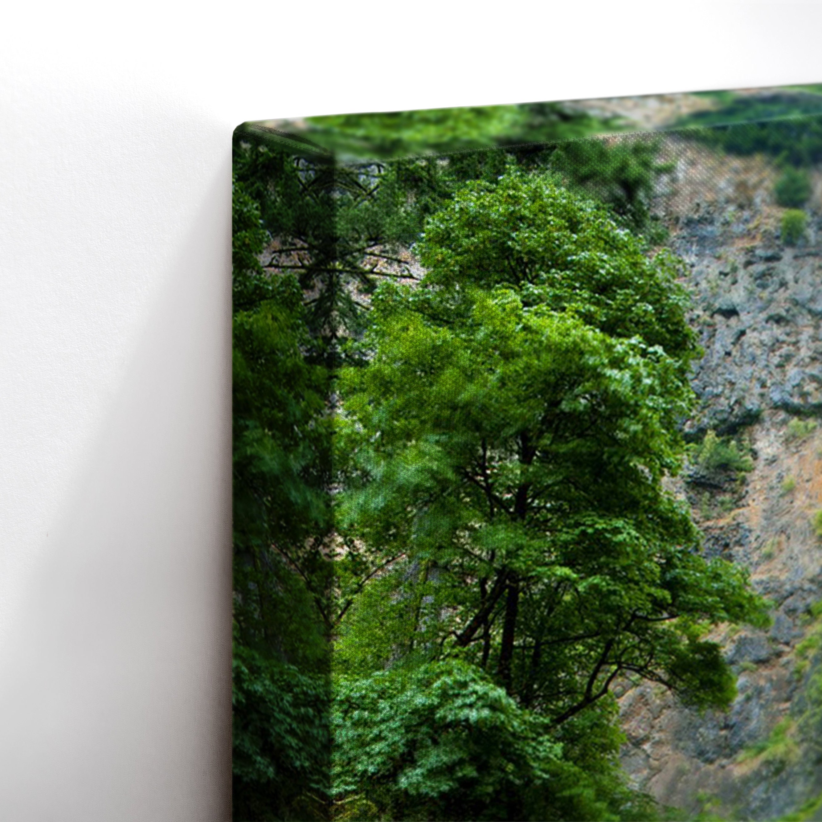Waterfall Wonder