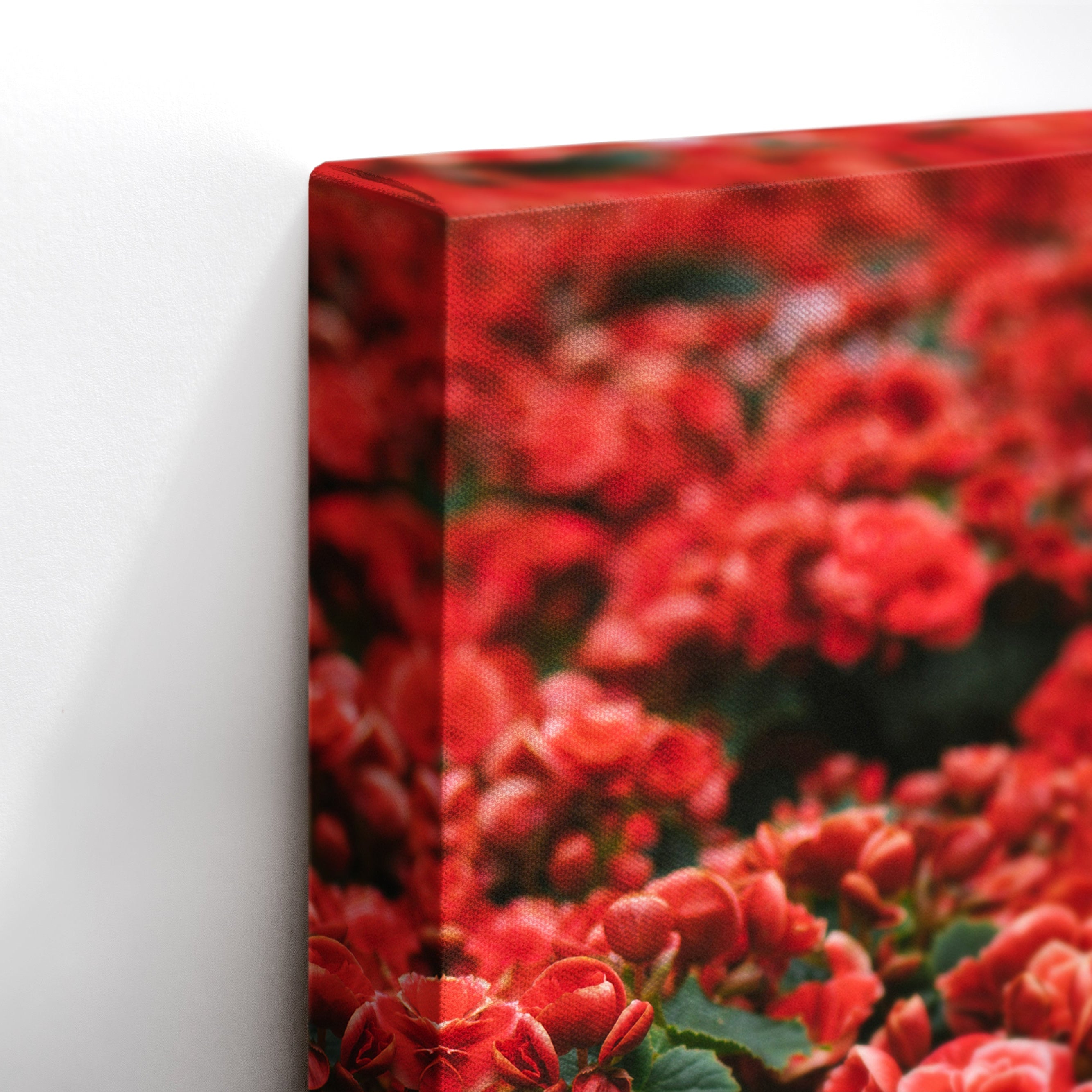 Crimson Blossom