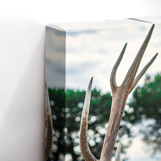 Antler Aura