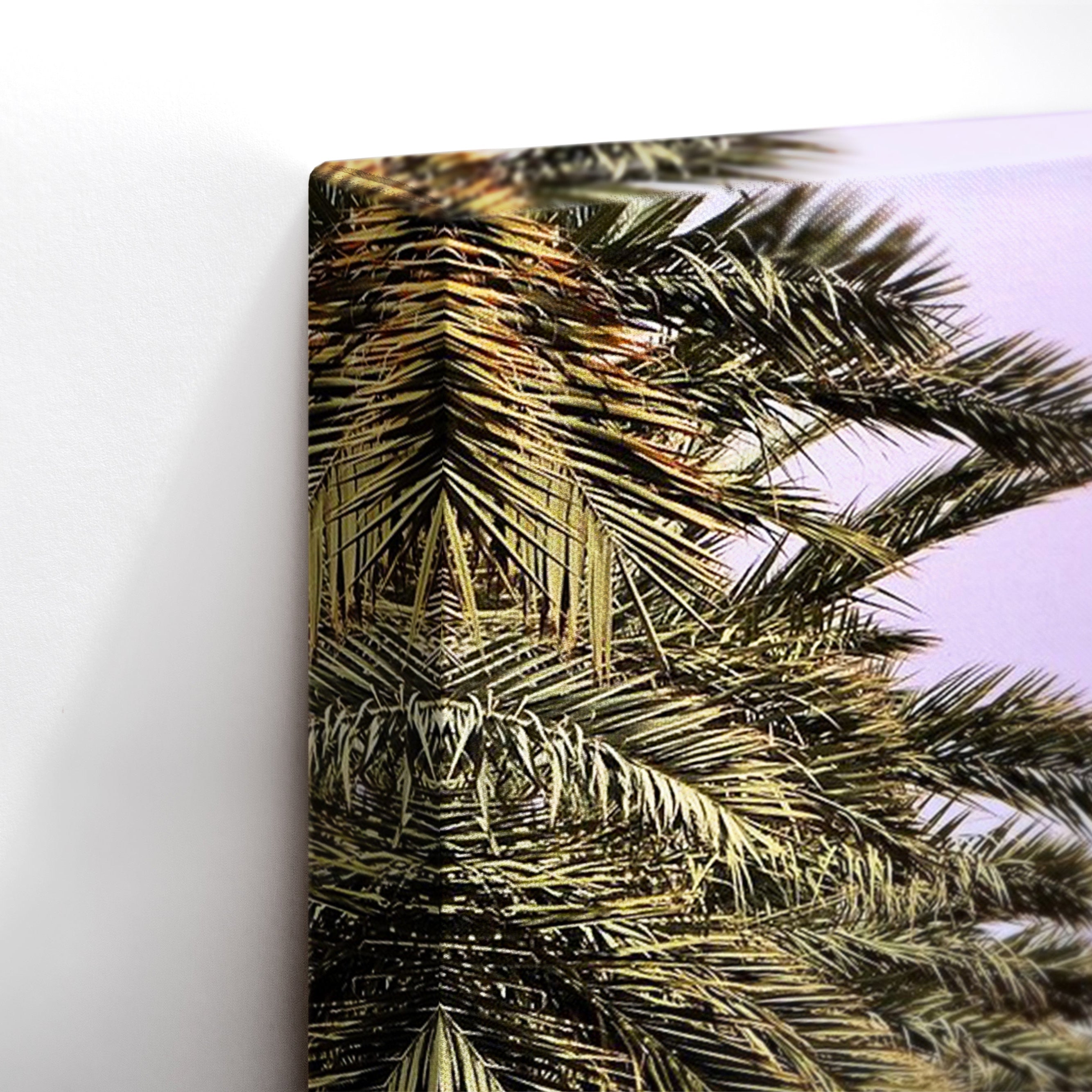 Palm Avenue