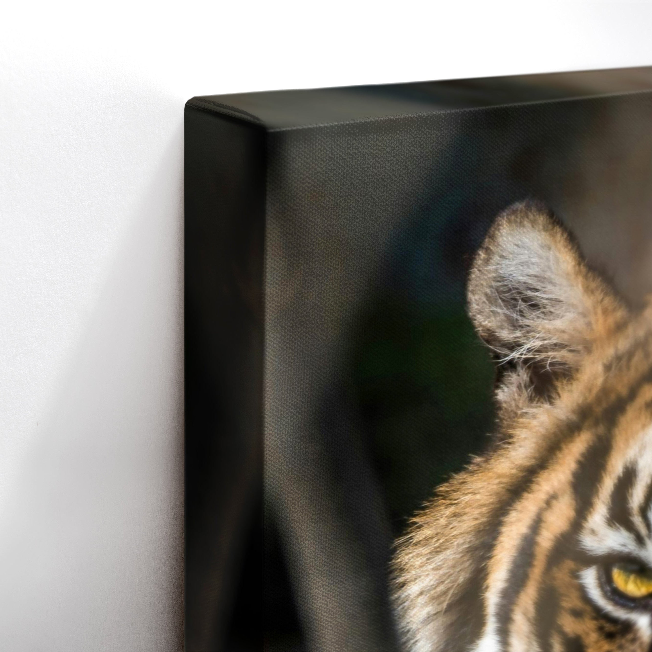 Tiger Focus