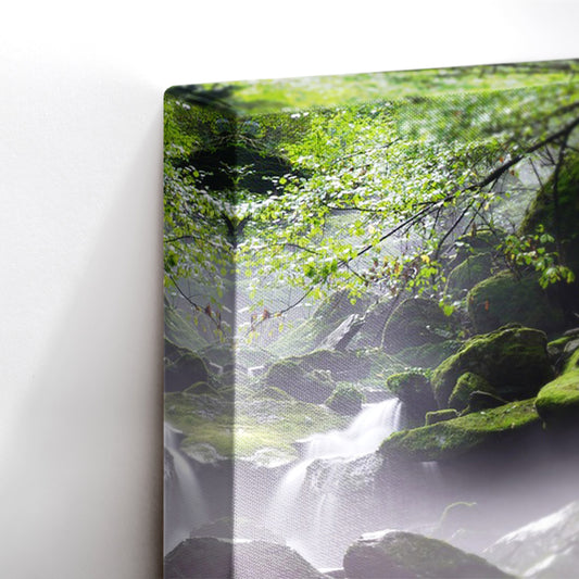 Flowing Paradise