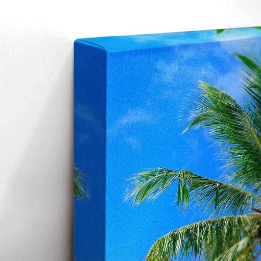 Palm Paradise