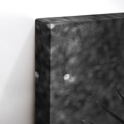 Black and White Palm Leaf